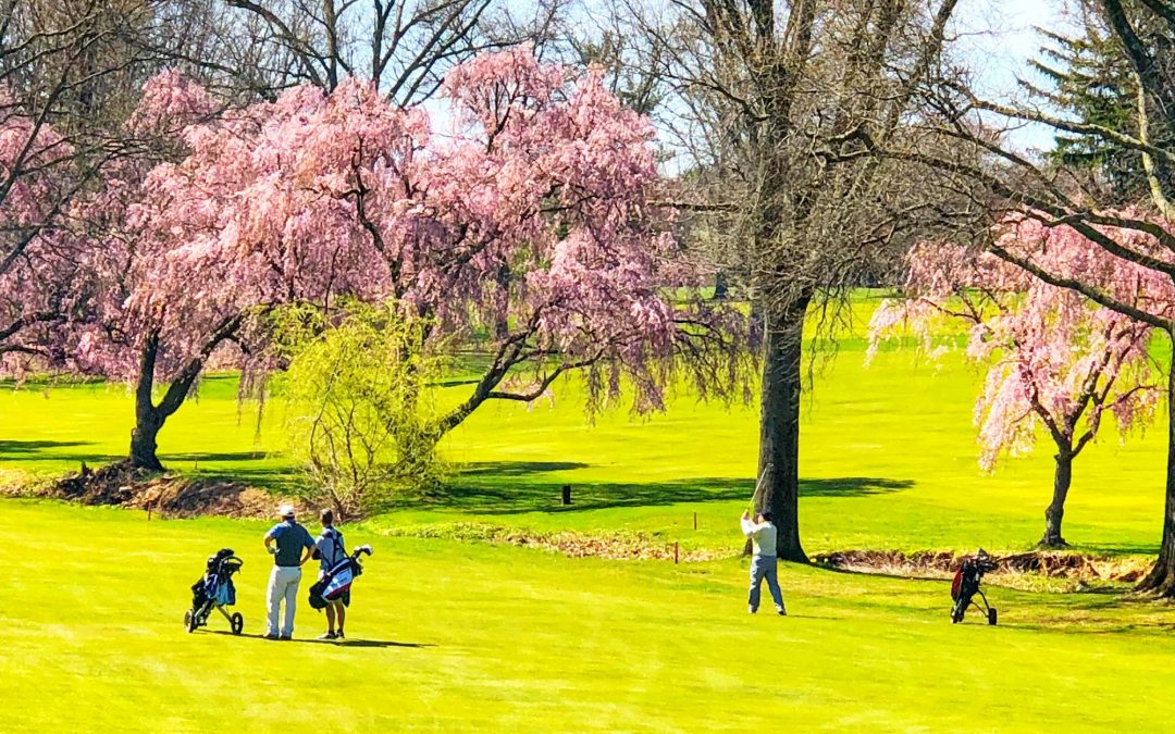 Teeing Off Towards a Greener Future: The Rise of Sustainable Golf